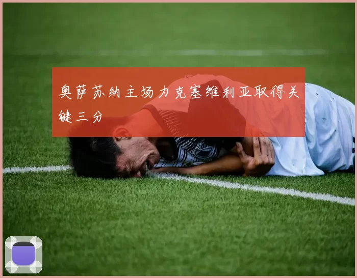 奥萨苏纳主场力克塞维利亚取得关键三分