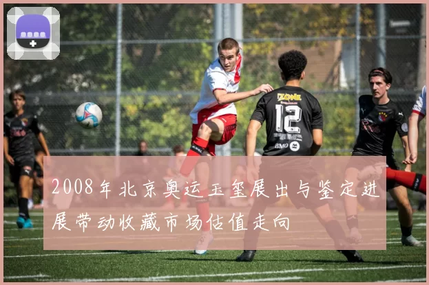 2008年北京奥运玉玺展出与鉴定进展带动收藏市场估值走向